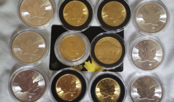 Gold and Silver Coins